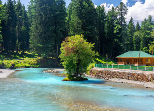 Family Tour Packages