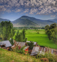 Kashmir Spring Package