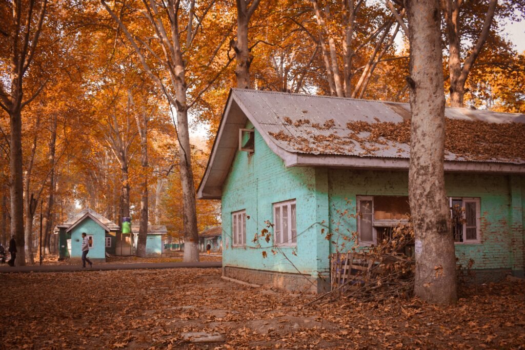 Kashmir Delight (4 Days / 3 Nights)