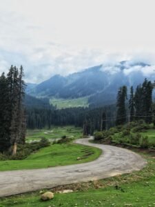 Kashmir Delight (4 Days / 3 Nights)