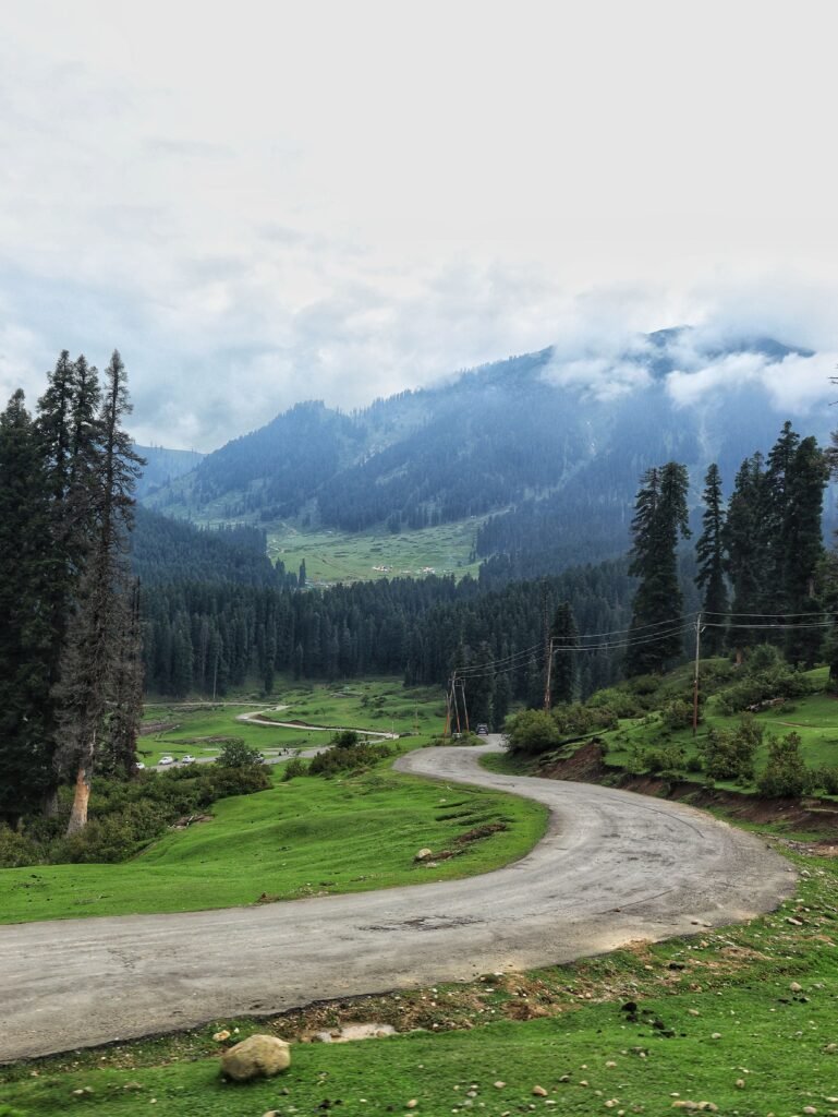 Kashmir Delight (4 Days / 3 Nights)