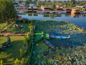 Paradise Kashmir Tour (5 Days / 4 Nights)