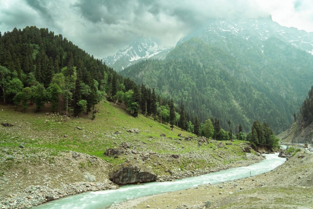 Paradise Kashmir Tour (5 Days / 4 Nights)