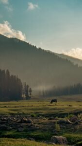 Kashmir Delight (4 Days / 3 Nights)