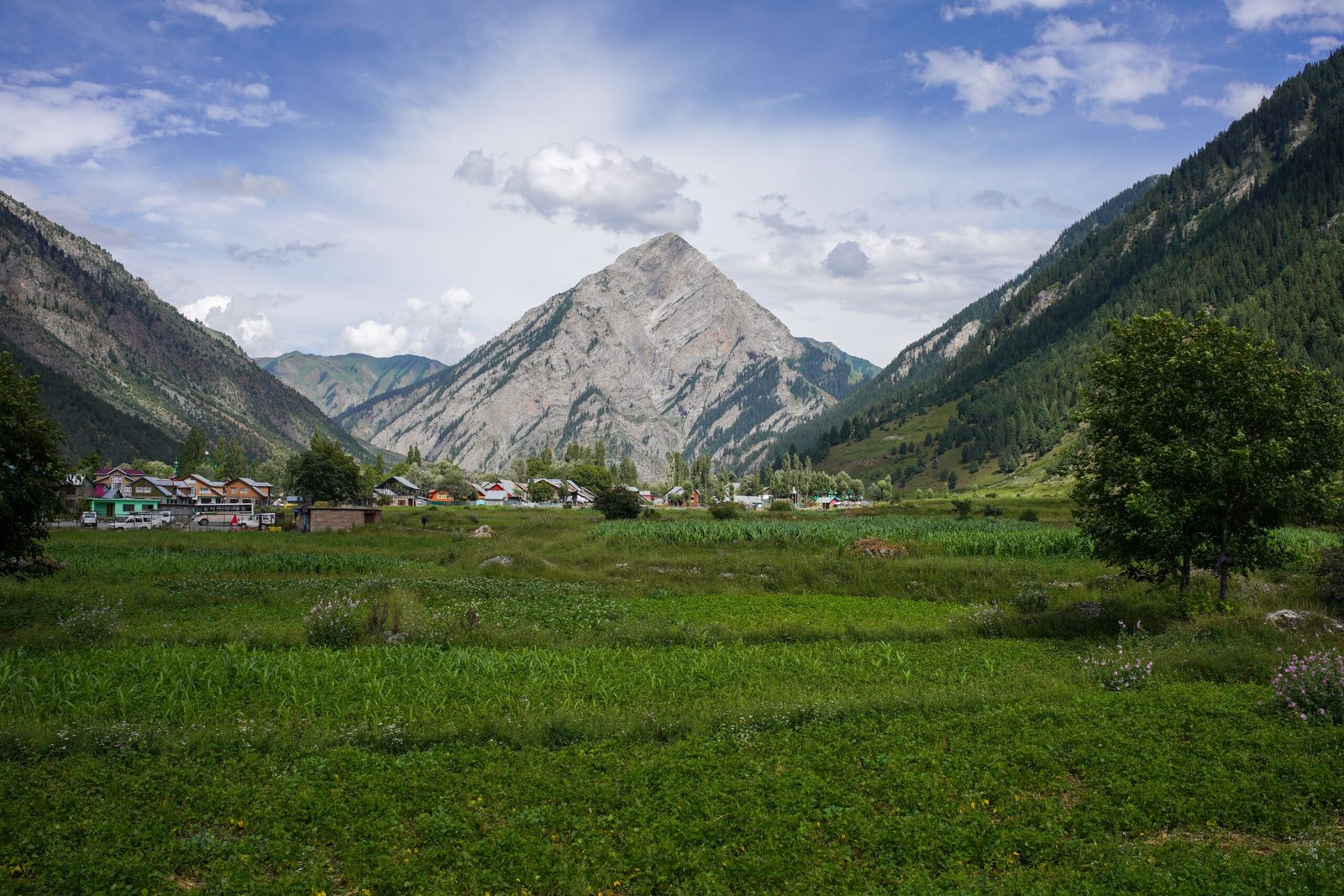 3 Days / 2 Nights Gurez Valley Tour