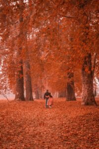 Luxury Kashmir Honeymoon Package – 5 Nights / 6 Days
