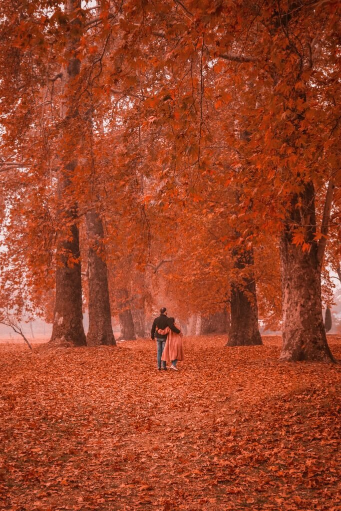 Luxury Kashmir Honeymoon Package – 5 Nights / 6 Days